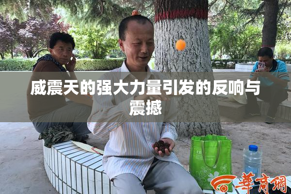 威震天的强大力量引发的反响与震撼
