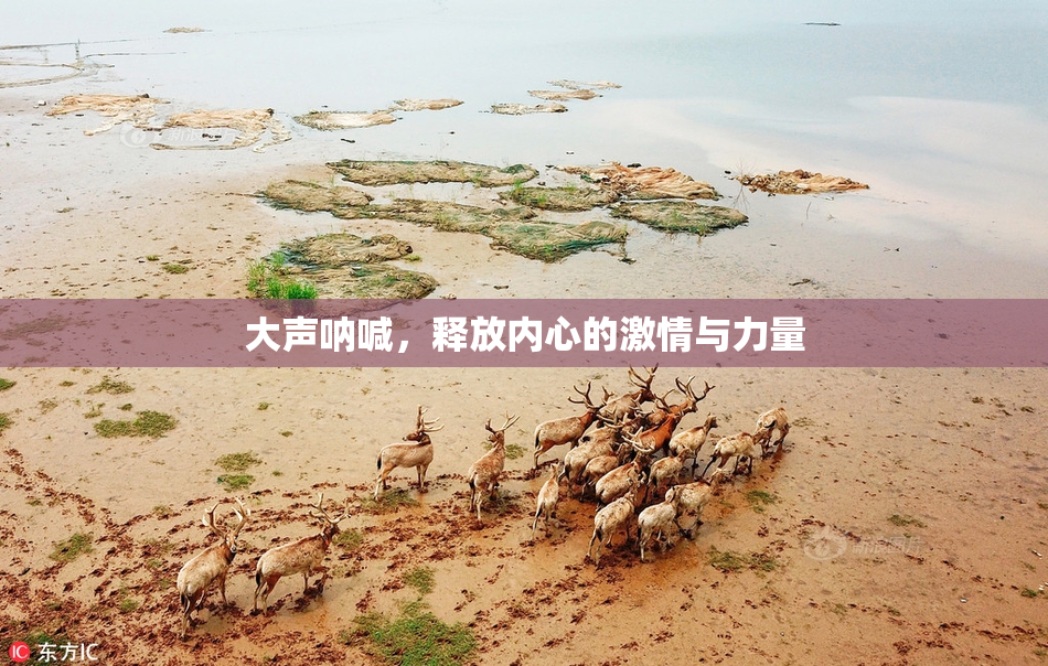 大声呐喊，释放内心的激情与力量