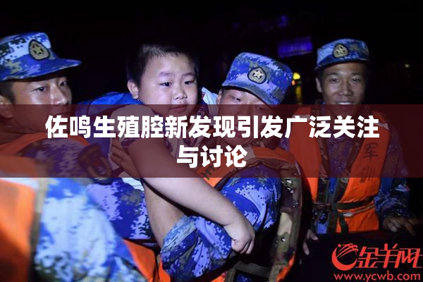 佐鸣生殖腔新发现引发广泛关注与讨论