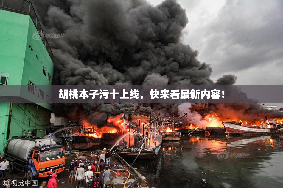 胡桃本子污十上线，快来看最新内容！