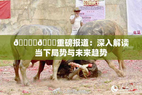 🔞‌🍌重磅报道：深入解读当下局势与未来趋势