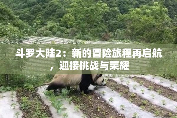 斗罗大陆2：新的冒险旅程再启航，迎接挑战与荣耀