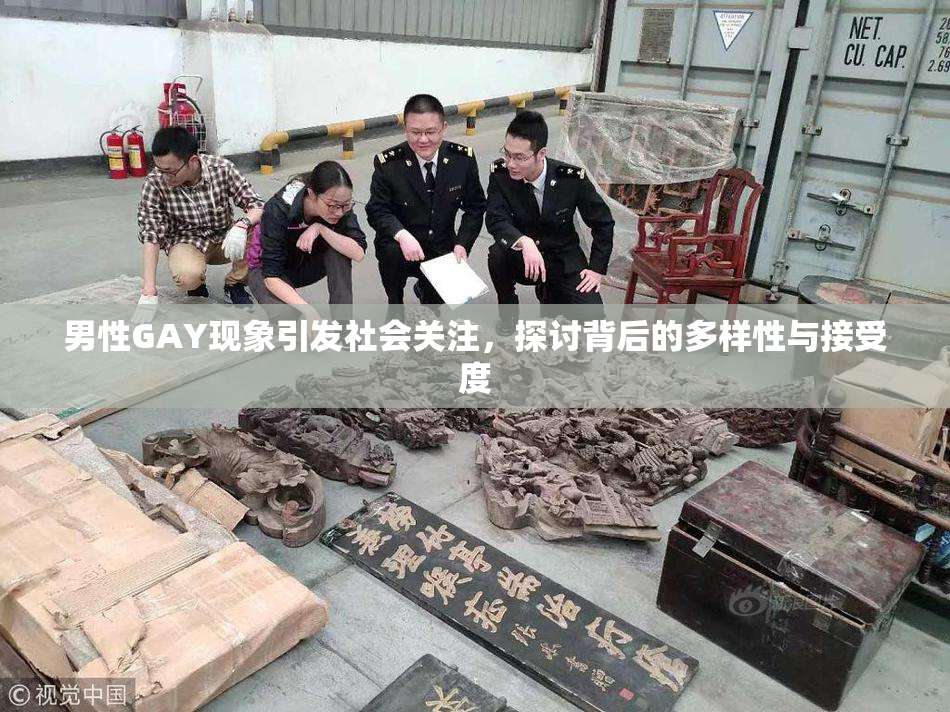 男性GAY现象引发社会关注，探讨背后的多样性与接受度