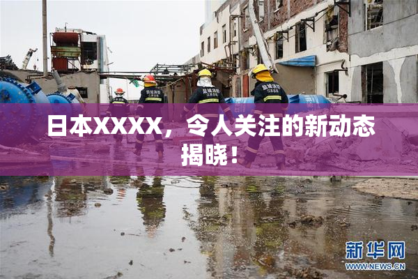 日本XXXX，令人关注的新动态揭晓！