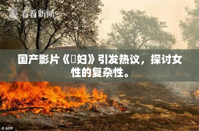 国产影片《婬妇》引发热议，探讨女性的复杂性。