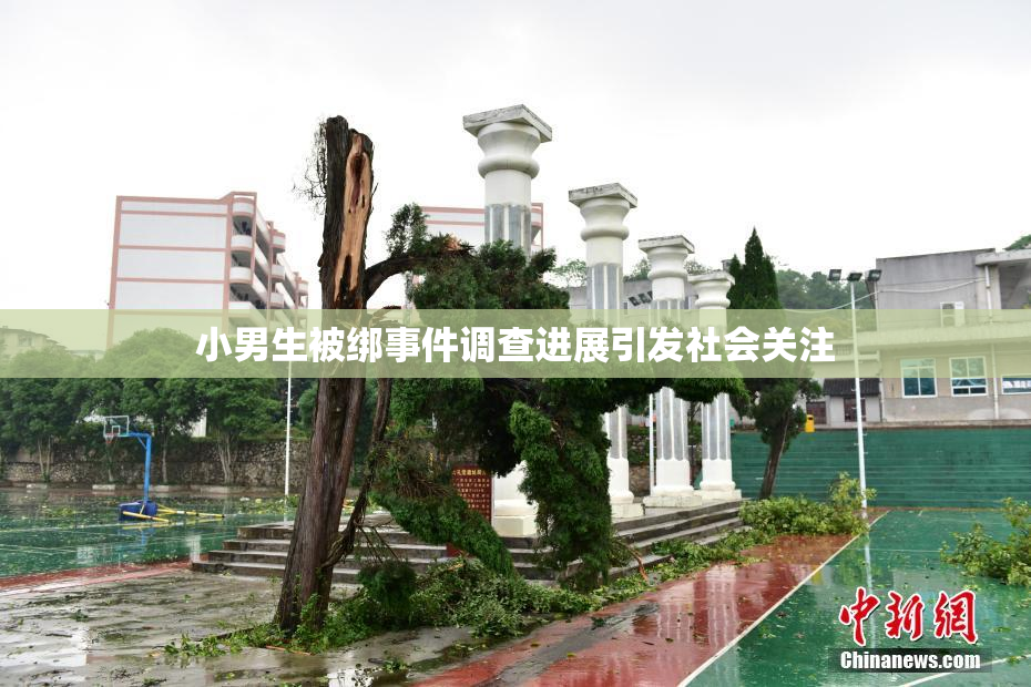 小男生被绑事件调查进展引发社会关注