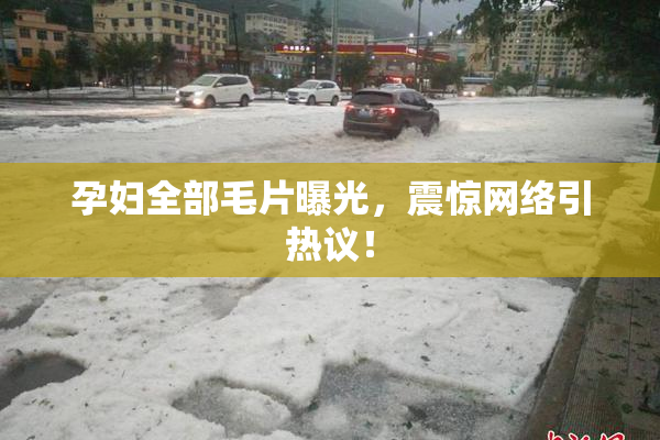 孕妇全部毛片曝光，震惊网络引热议！