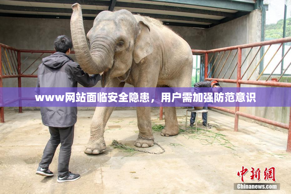 www网站面临安全隐患，用户需加强防范意识