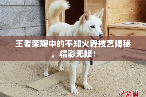 王者荣耀中的不知火舞技艺揭秘，精彩无限！