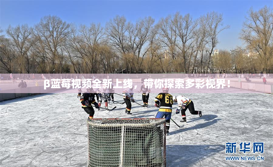 β蓝莓视频全新上线，带你探索多彩视界！