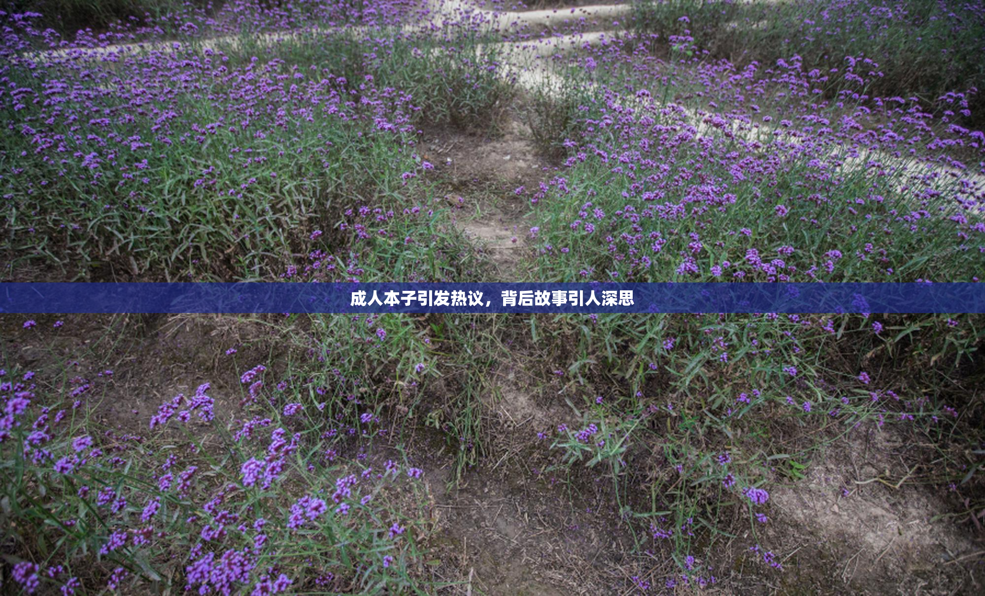 成人本子引发热议，背后故事引人深思