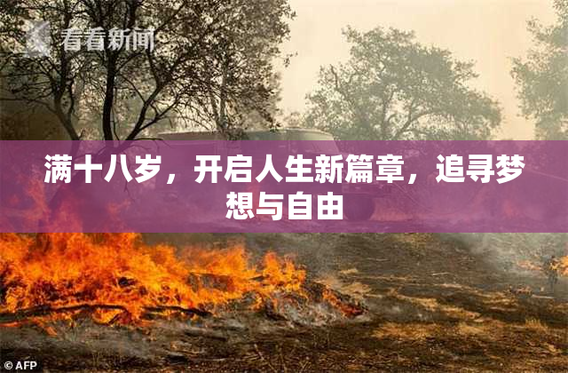 满十八岁，开启人生新篇章，追寻梦想与自由