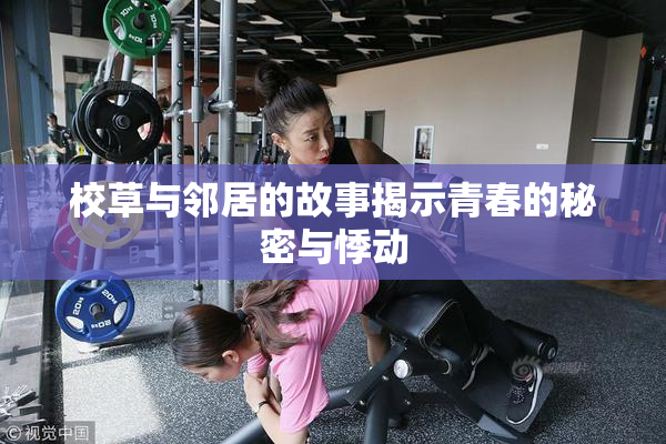 校草与邻居的故事揭示青春的秘密与悸动