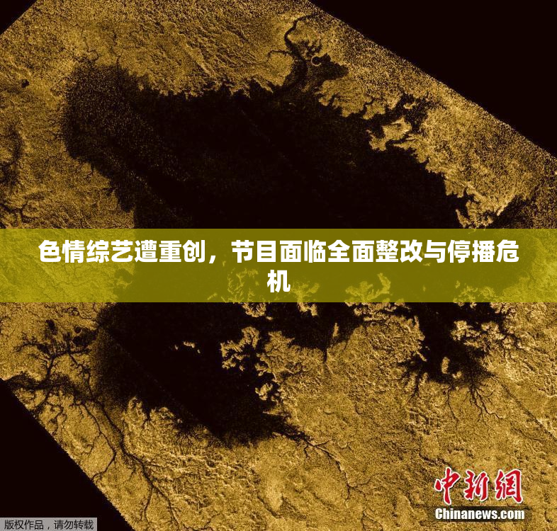 色情综艺遭重创，节目面临全面整改与停播危机