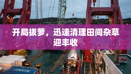 开局拔萝，迅速清理田间杂草迎丰收