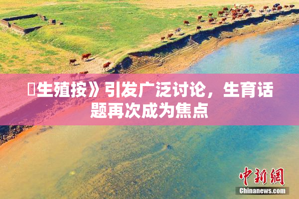 巜生殖按》引发广泛讨论，生育话题再次成为焦点