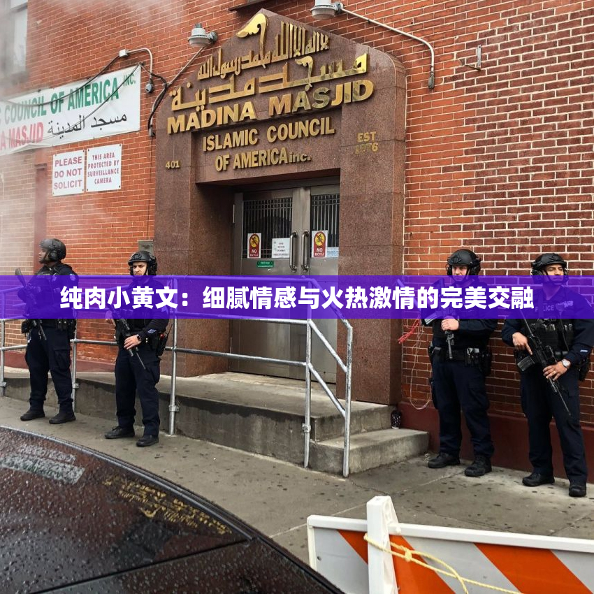 纯肉小黄文：细腻情感与火热激情的完美交融