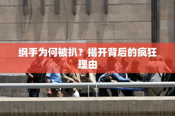 纲手为何被扒？揭开背后的疯狂理由