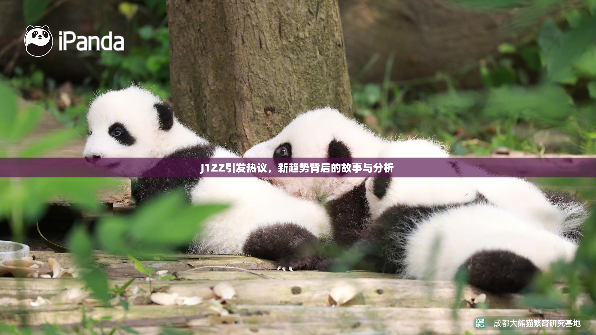 J1ZZ引发热议，新趋势背后的故事与分析