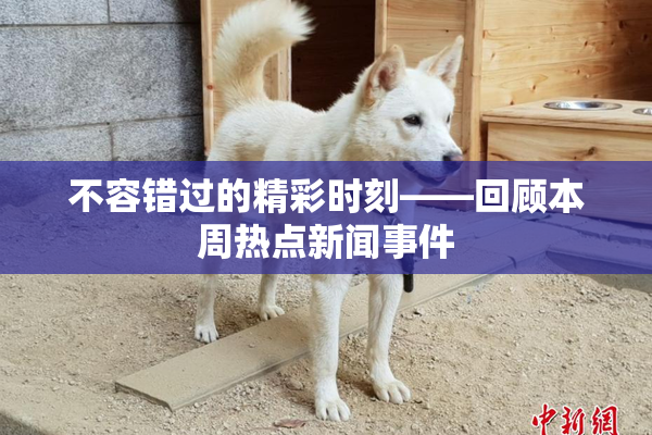 不容错过的精彩时刻——回顾本周热点新闻事件