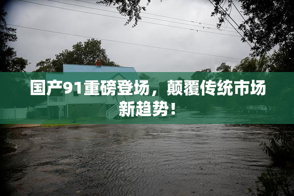 国产91重磅登场，颠覆传统市场新趋势！
