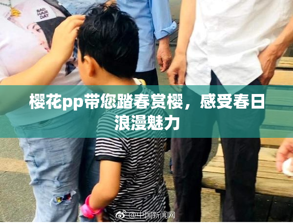 樱花pp带您踏春赏樱，感受春日浪漫魅力