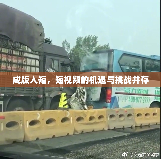 成版人短，短视频的机遇与挑战并存