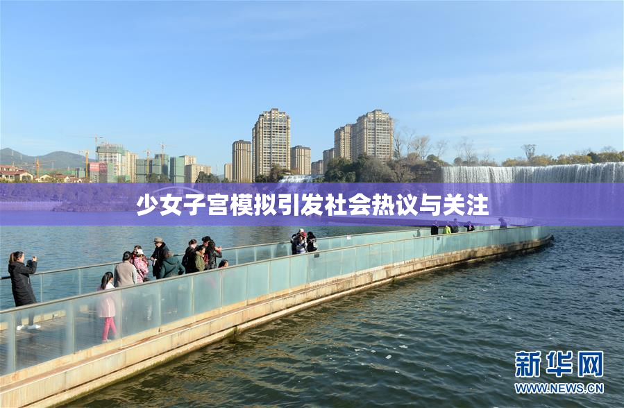 少女子宫模拟引发社会热议与关注