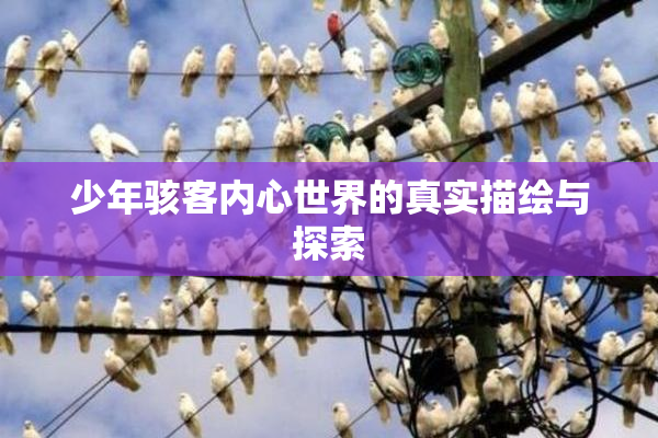 少年骇客内心世界的真实描绘与探索