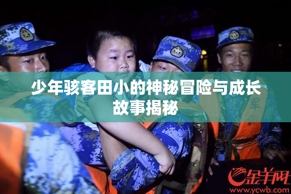 少年骇客田小的神秘冒险与成长故事揭秘