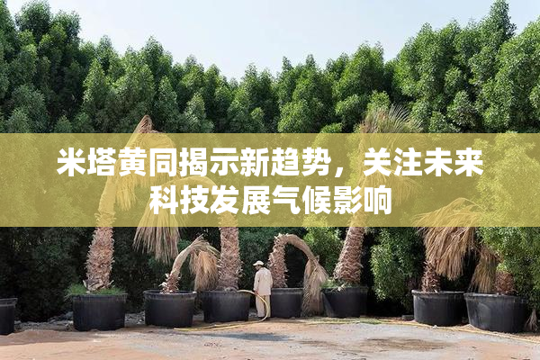 米塔黄同揭示新趋势，关注未来科技发展气候影响