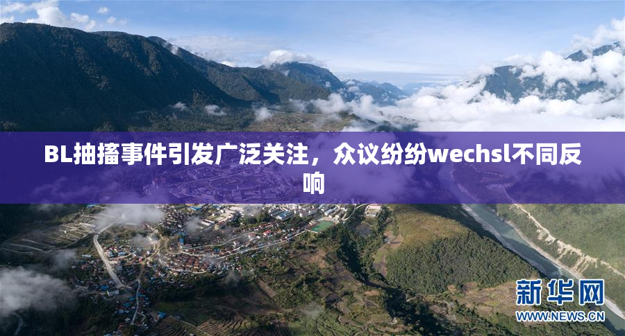 BL抽搐事件引发广泛关注，众议纷纷wechsl不同反响