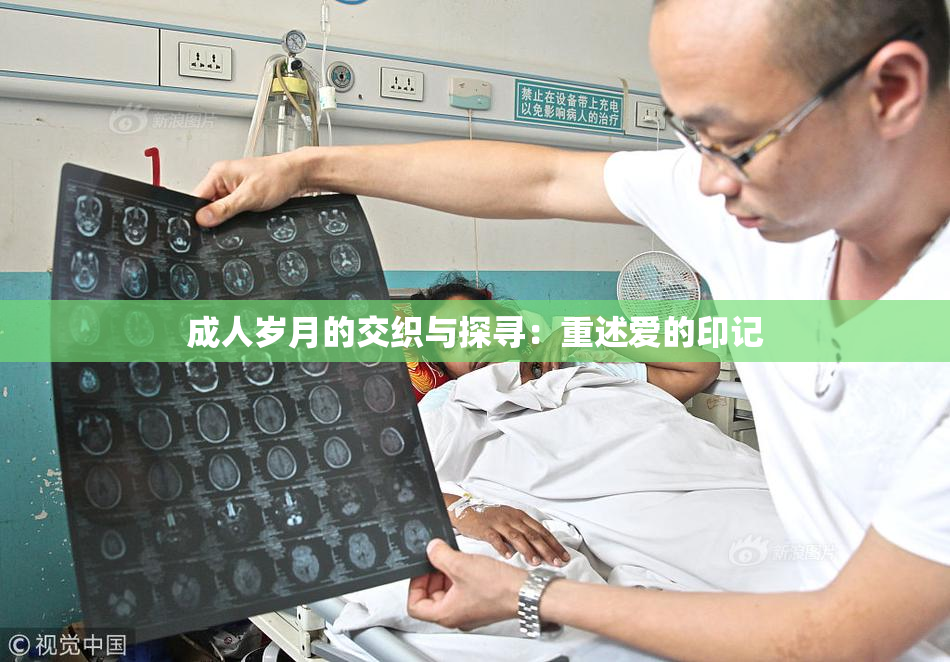成人岁月的交织与探寻：重述爱的印记