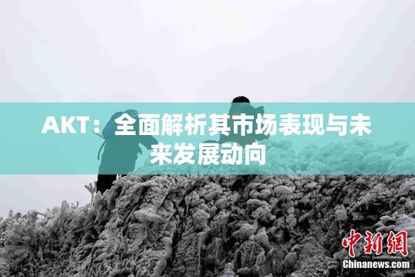 AKT：全面解析其市场表现与未来发展动向