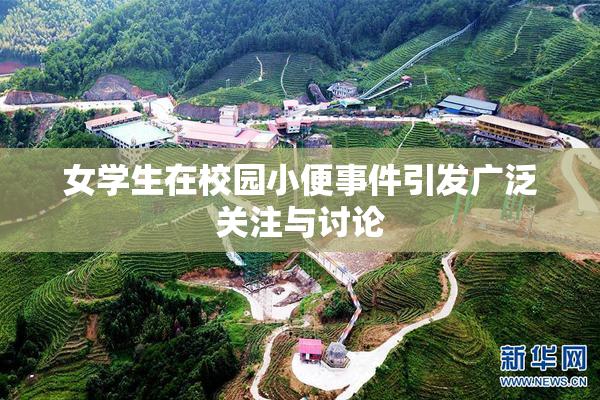 女学生在校园小便事件引发广泛关注与讨论