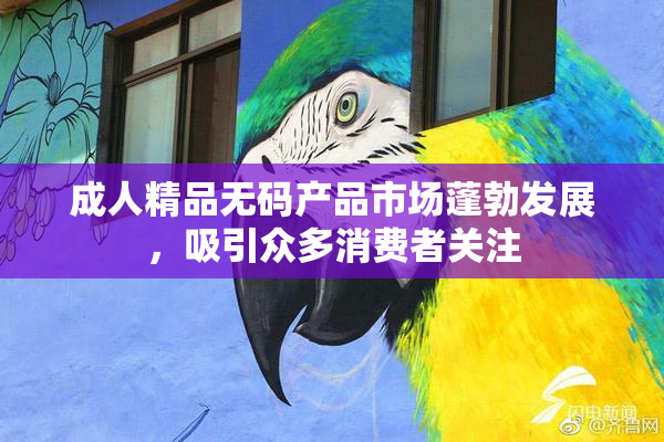 成人精品无码产品市场蓬勃发展，吸引众多消费者关注