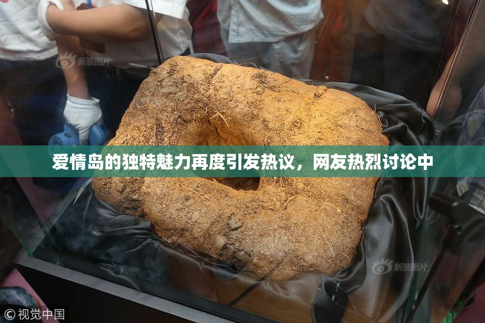 爱情岛的独特魅力再度引发热议，网友热烈讨论中