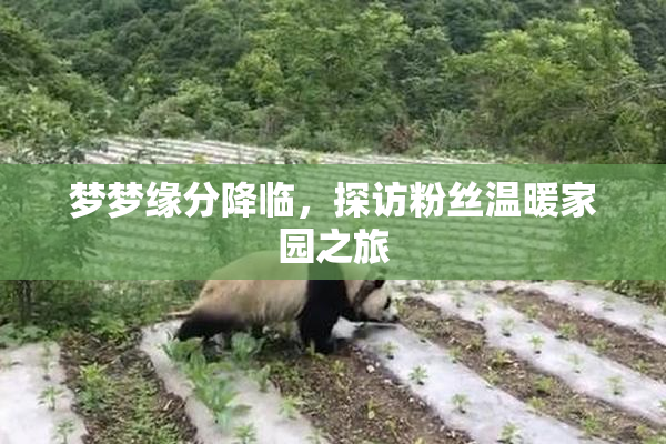 梦梦缘分降临，探访粉丝温暖家园之旅