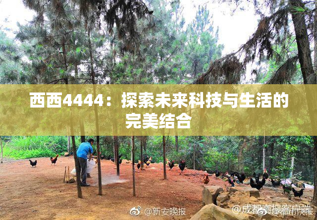 西西4444：探索未来科技与生活的完美结合