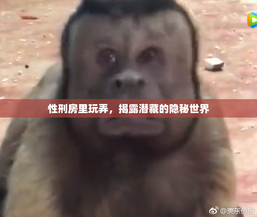 性刑房里玩弄，揭露潜藏的隐秘世界