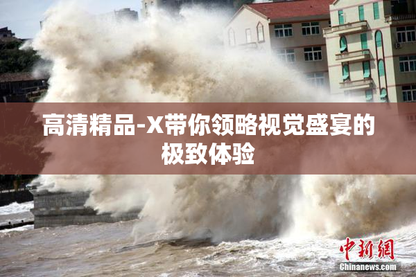 高清精品-X带你领略视觉盛宴的极致体验