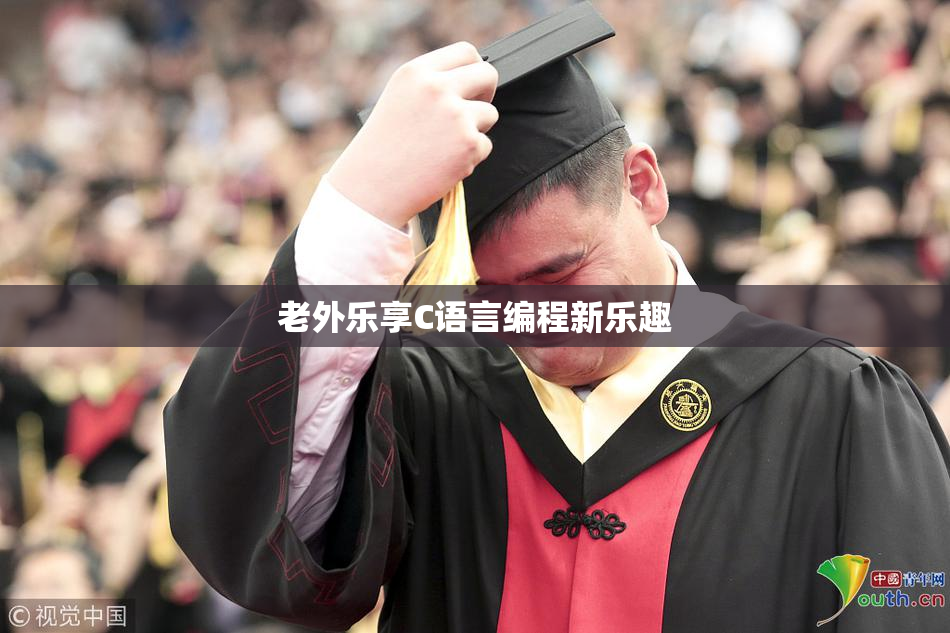 老外乐享C语言编程新乐趣