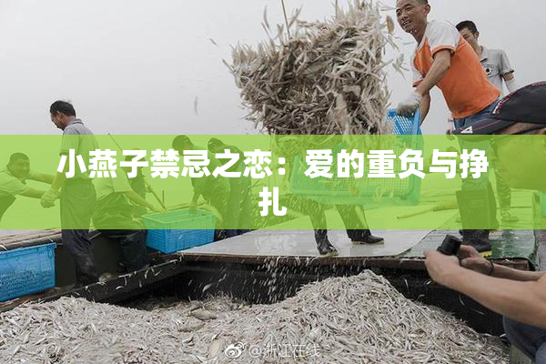 小燕子禁忌之恋：爱的重负与挣扎