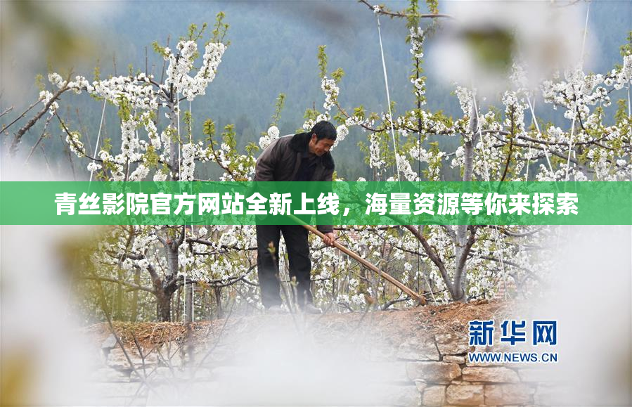青丝影院官方网站全新上线，海量资源等你来探索