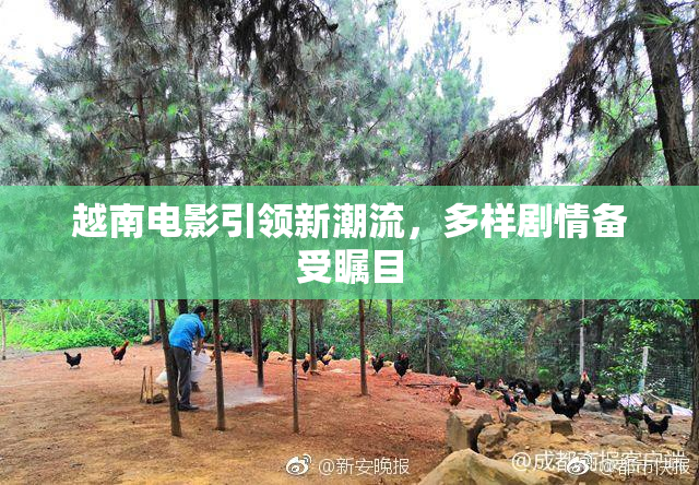 越南电影引领新潮流，多样剧情备受瞩目