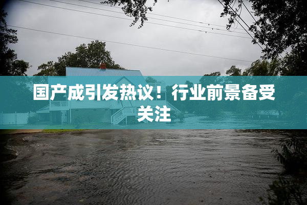 国产成引发热议！行业前景备受关注