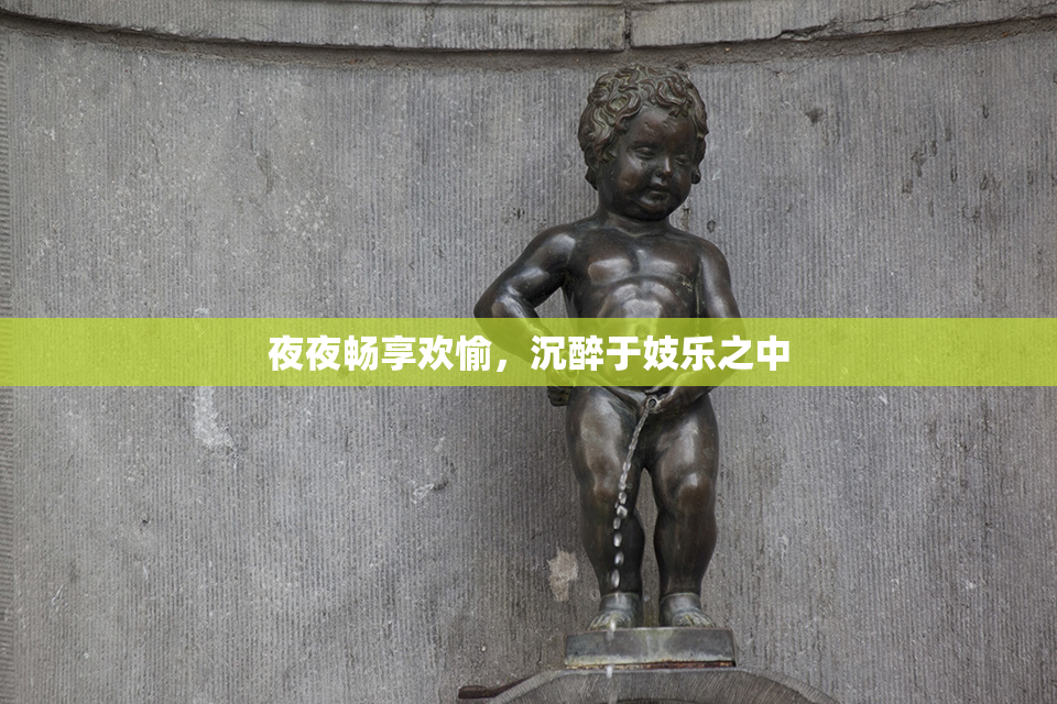夜夜畅享欢愉，沉醉于妓乐之中