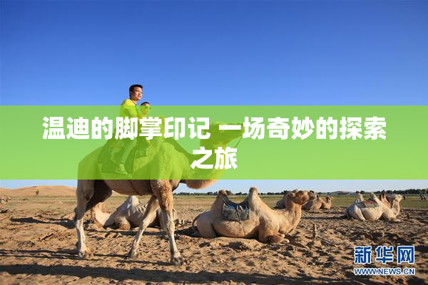 温迪的脚掌印记 一场奇妙的探索之旅