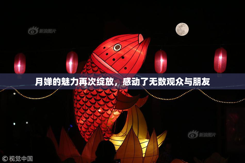 月婵的魅力再次绽放，感动了无数观众与朋友