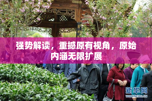 强势解读，重撼原有视角，原始内涵无限扩展